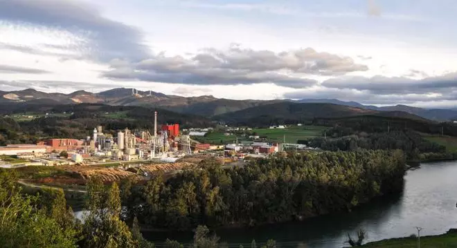 Ence inicia este año una inversión en Navia de 105 millones en nuevas líneas y recorte de CO2