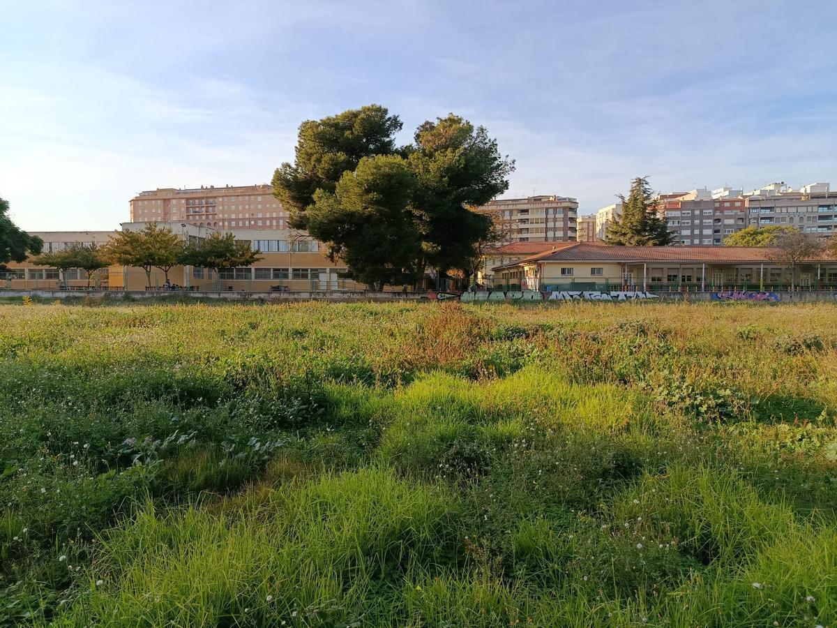 Solar que albergará el centro de espacimiento canino.
