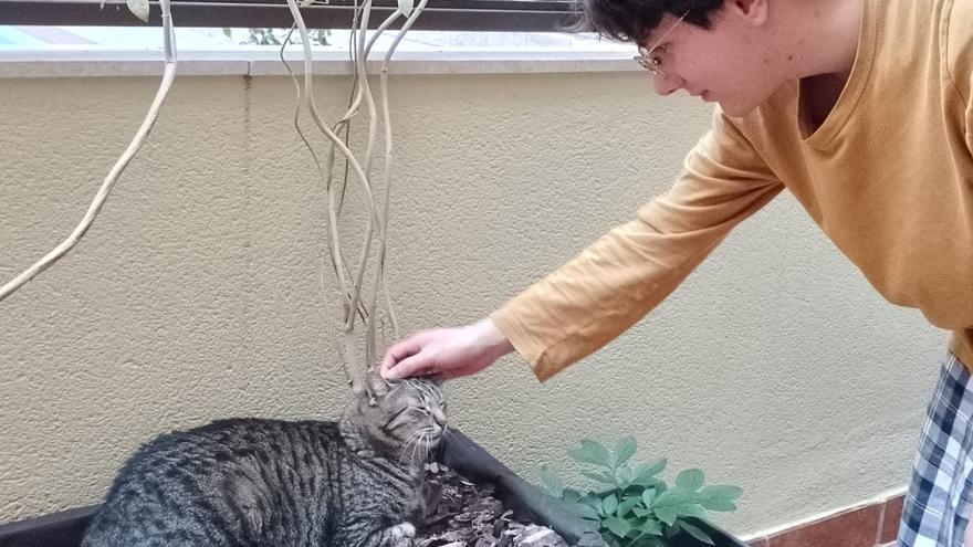 Un enfermo terminal encuentra en Lorca una familia de adopción para su gato ‘Scar’