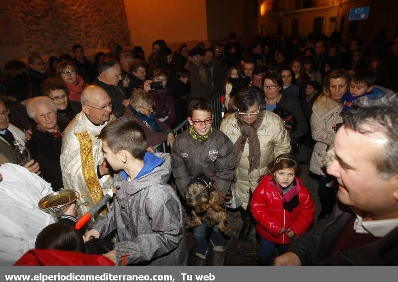 GALERÍA FOTOS - La provincia celebra Sant Antoni