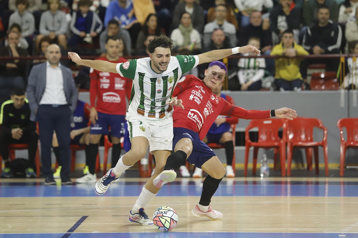 Córdoba Futsal - Xota Osasuna : las imágenes del partido en Vista Alegre