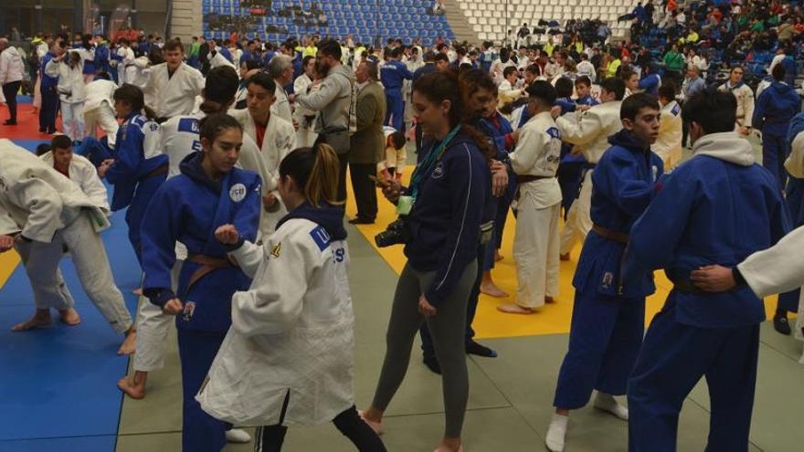 Cientos de judocas este sábado en el Pitiu Rochel de Alicante