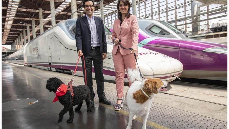 Una prueba piloto permitirá viajar con perros grandes en los AVE