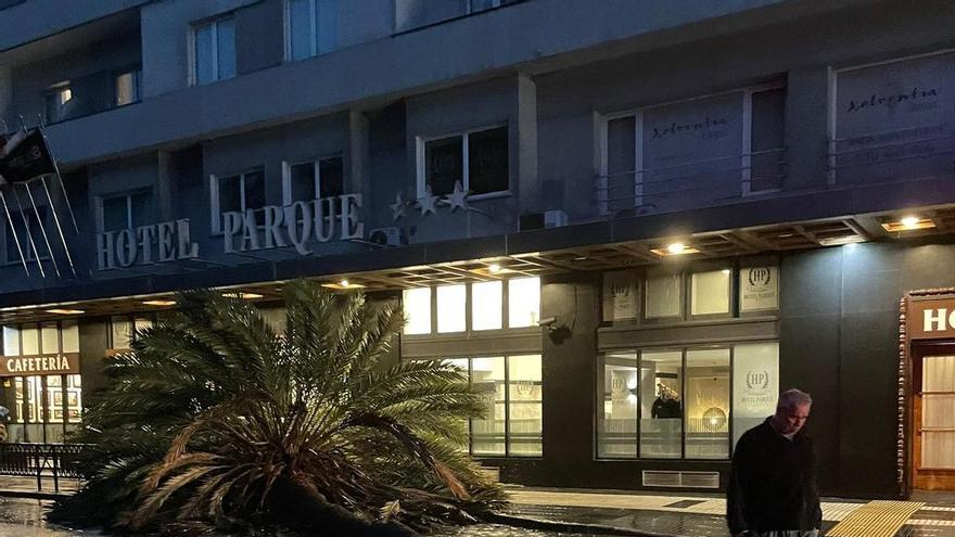 La borrasca Therese golpea Gran Canaria: cae una palmera en Las Palmas de Gran Canaria y confinan Arteara y Fataga