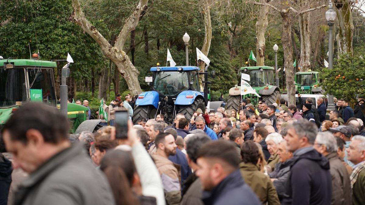 VÍDEO | La Plaza de España se llena de gente para recibir a la tractorada en Sevilla