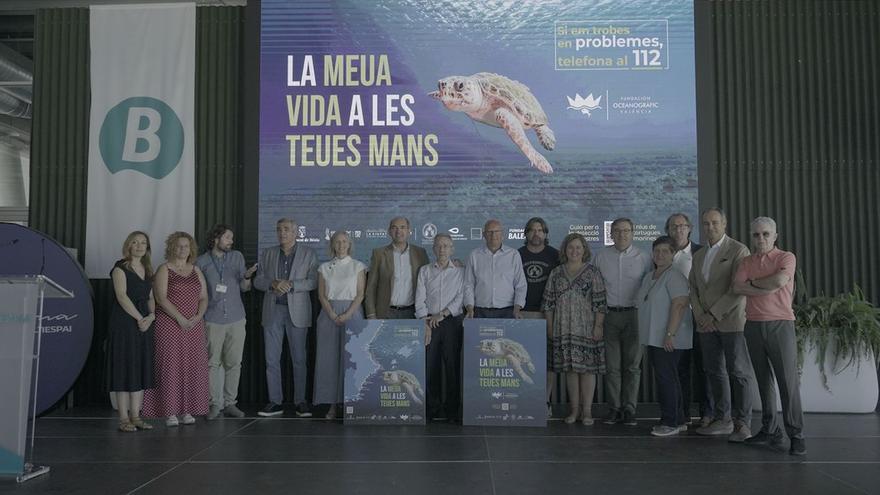 Tortugas en el Mediterráneo: Doce municipios de Castellón se suman a la campaña de la Fundación Oceanogràfic