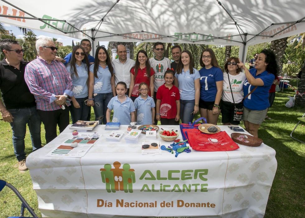 Unos 6.000 festeros disfrutan del tradicional Festival de Paellas en el parque Lo Morant