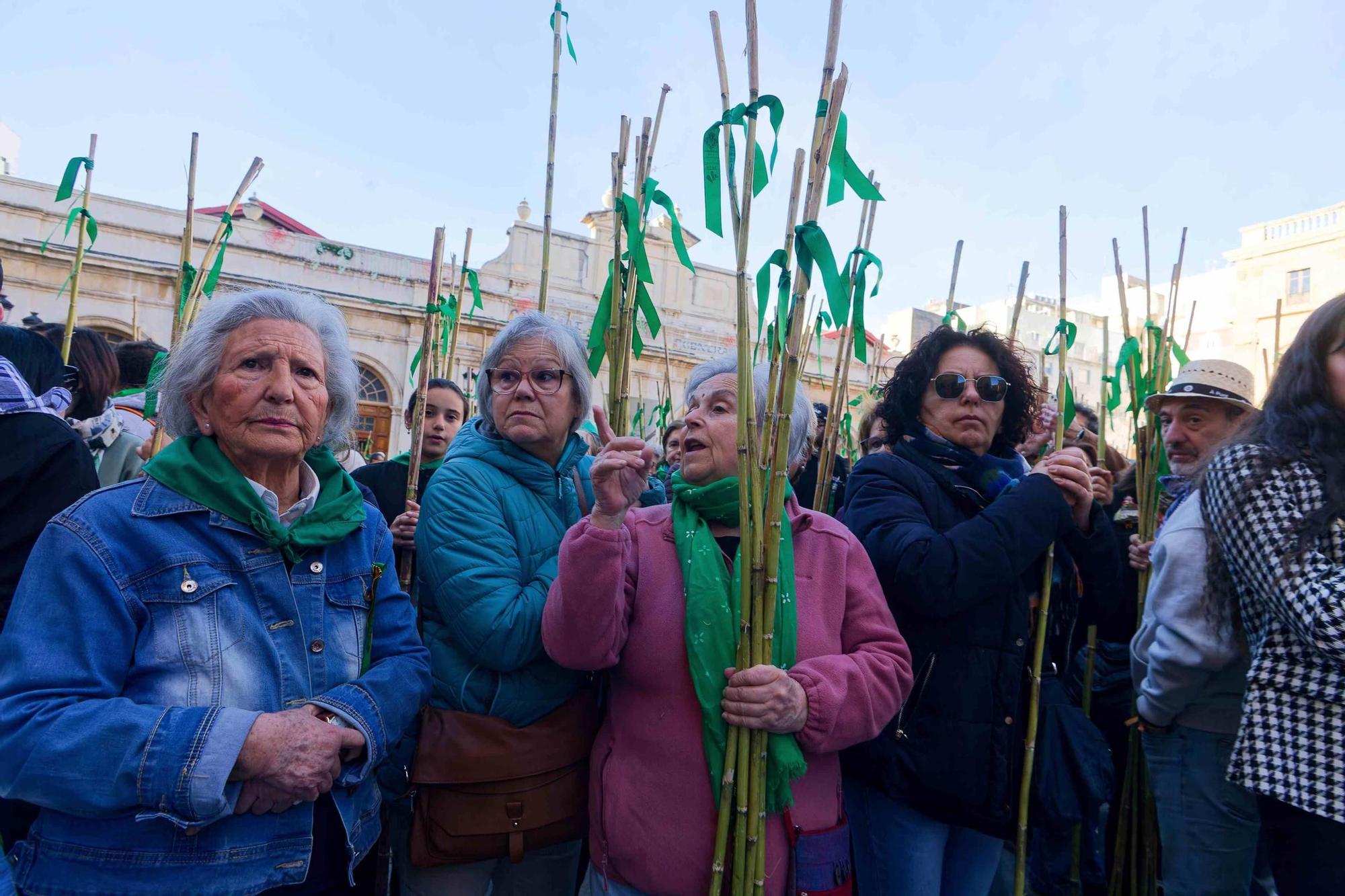 Las mejores imágenes de la Romeria a la Magdalena
