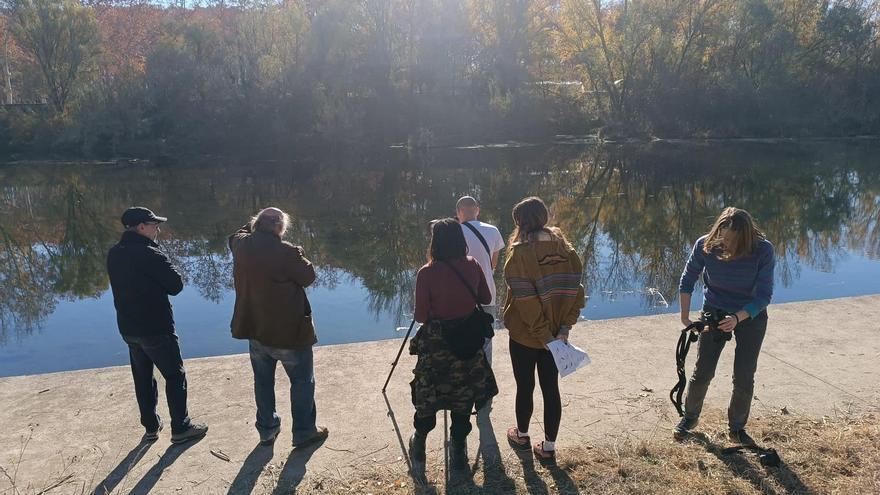 Els Naturalistes detecten deu espècies d’ocells aquàtics hivernant al riu Ter