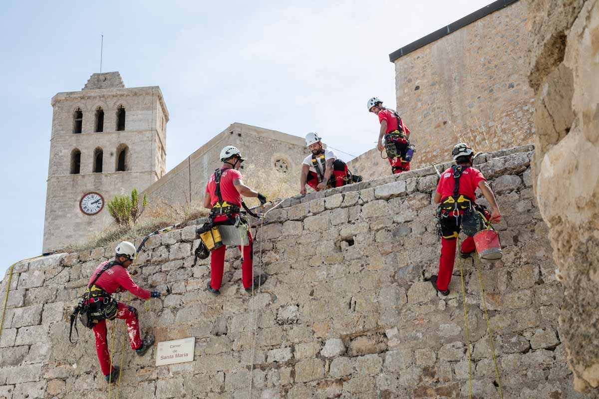 Arrancan los trabajos de limpieza de las murallas renacentistas de Ibiza