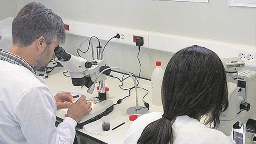 Grupo Gimeno vende Iproma a un grupo internacional de laboratorios