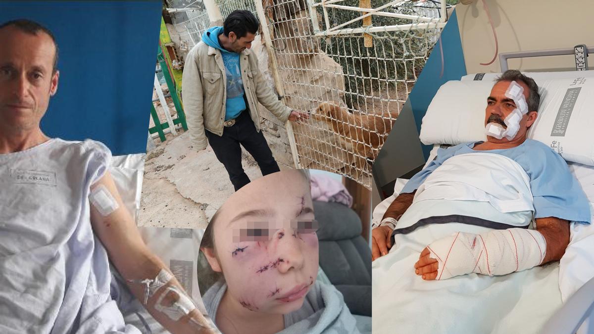 Imágenes de algunos de los ataques más graves de Castellón.