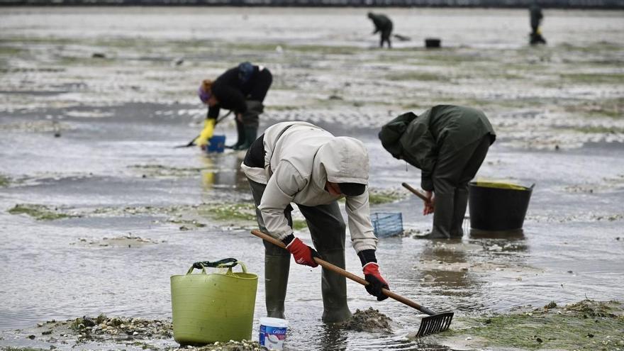 Las cofradías exigen al ISM eximir del pago de la cuota de la Seguridad Social a las «miles de mariscadoras» afectadas por los cierres