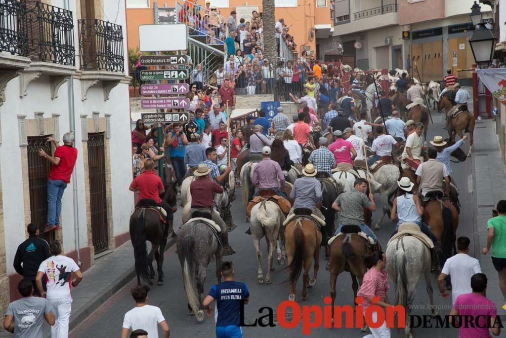 Último encierro en las Fiestas de Moratalla