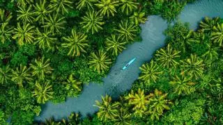 Explorando los manglares de Jonesville: un túnel secreto hacia el paraíso garífuna de Centroamérica