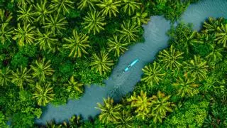 Explorando los manglares de Jonesville: un túnel secreto hacia el paraíso garífuna de Centroamérica