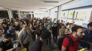 Concurso de traslados: Educación adjudica plaza definitiva en Castellón a 550 maestros