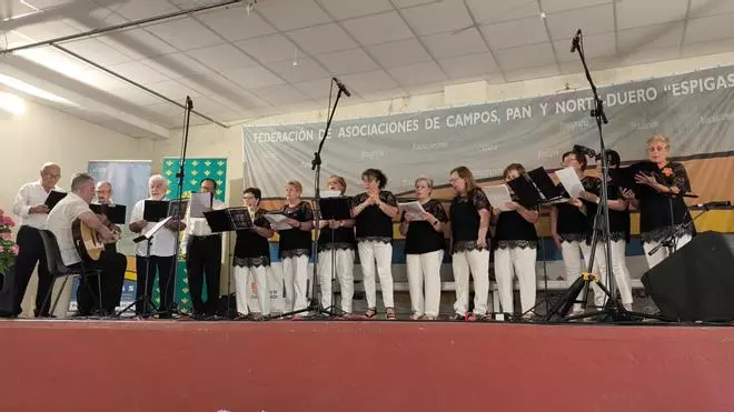 GALERÍA | La música tradicional resuena en Moreruela de los Infanzones