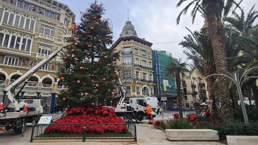 Vox pone un cedro en la plaza de la Reina tras la polémica del año pasado