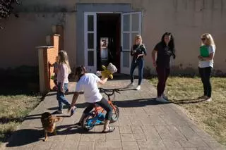 Un hotel lleno de vida en Villaralbo