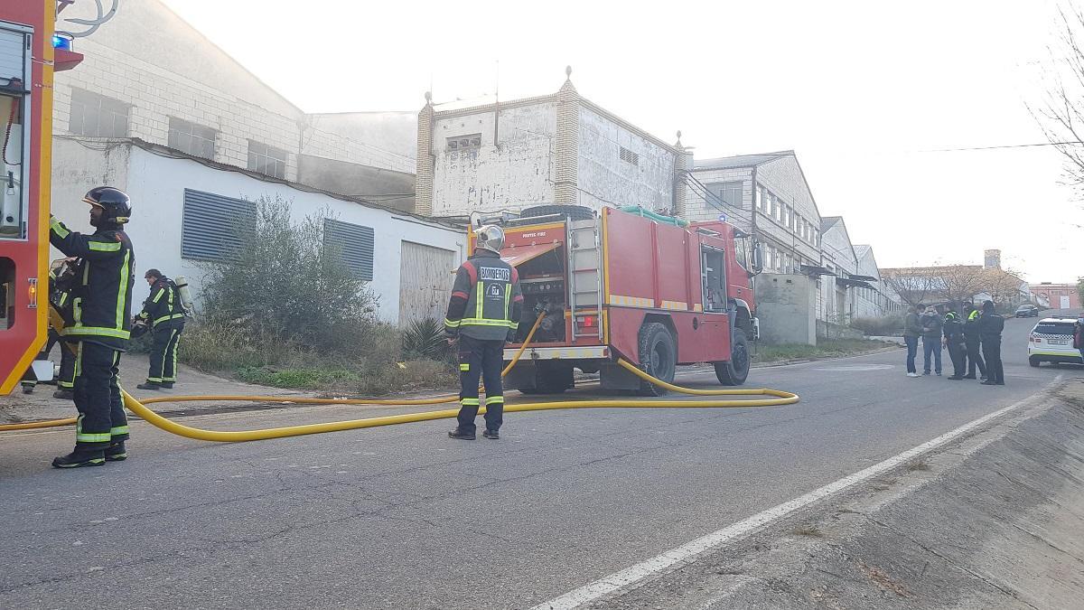 Los bomberos han atacado el incendio desde distintos puntos.