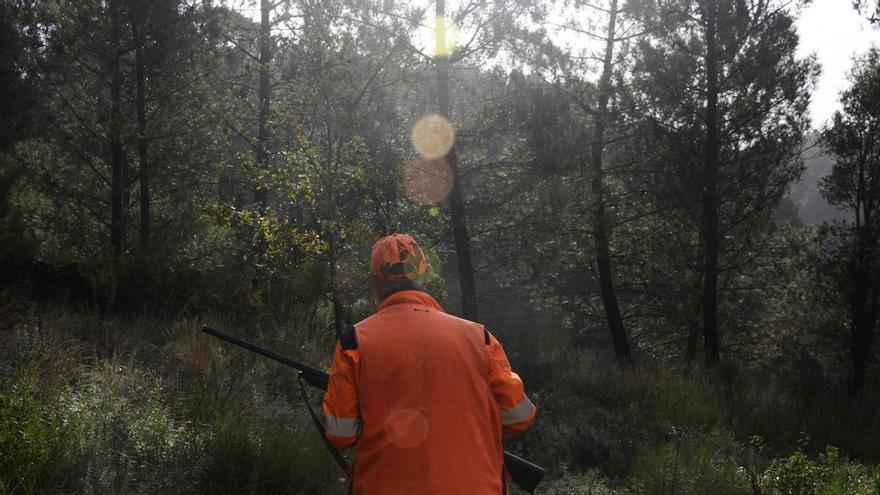 La temporada de caza 2026-2027 ya tiene fechas en Galicia: estas son las condiciones según la especie