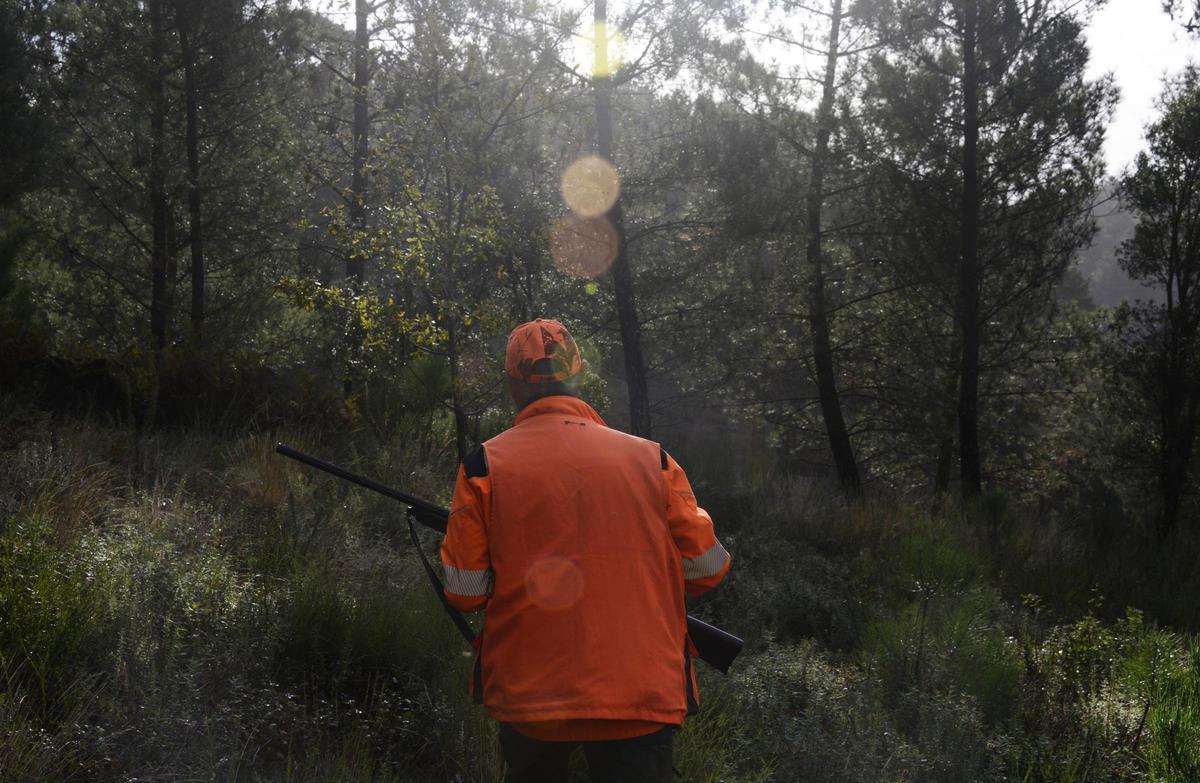Un cazador en la temporada pasada en un monte ourensano