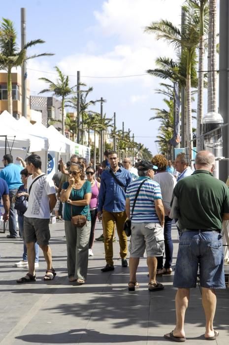 INAUGURACION DE LA FERIA DEL SOL