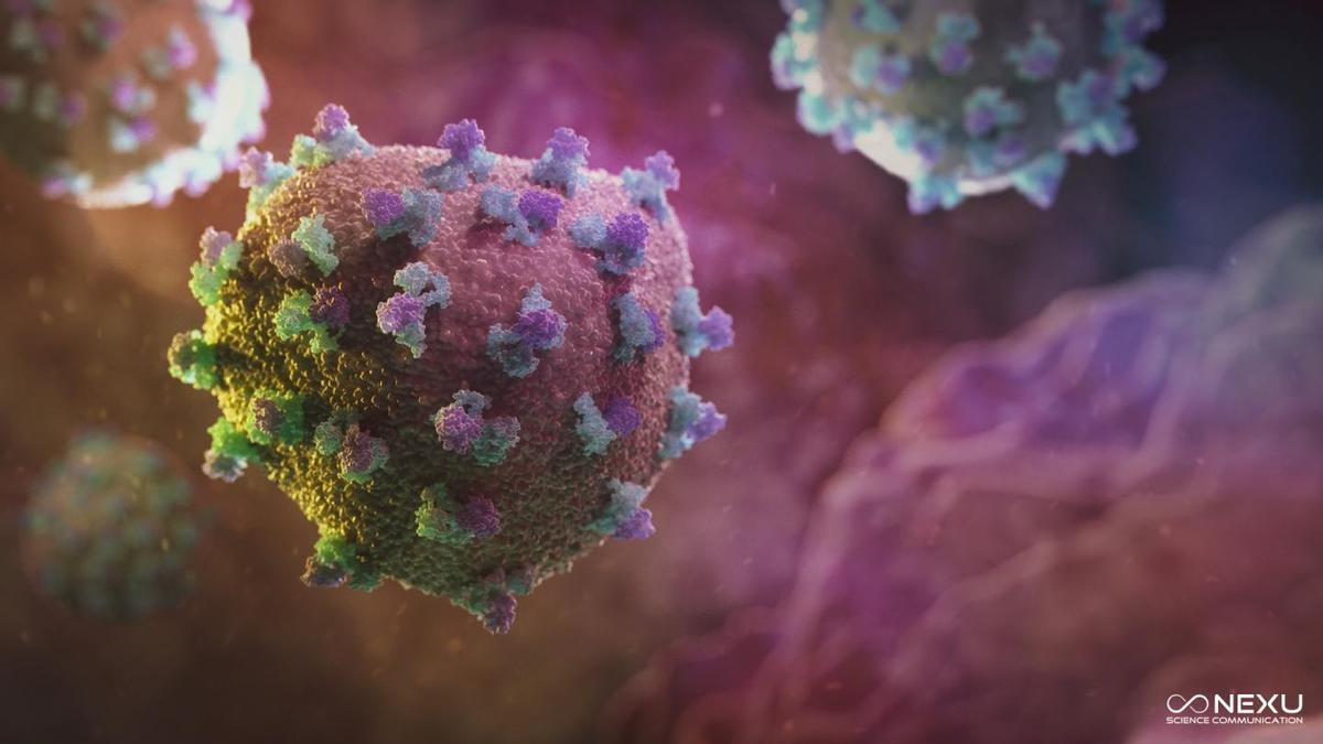 España está a punto de erradicar la Hepatitis C.