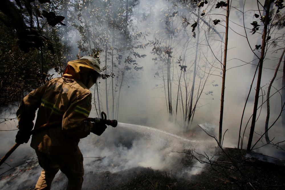 Incendio de grandes dimensiones en el centro de Portugal.