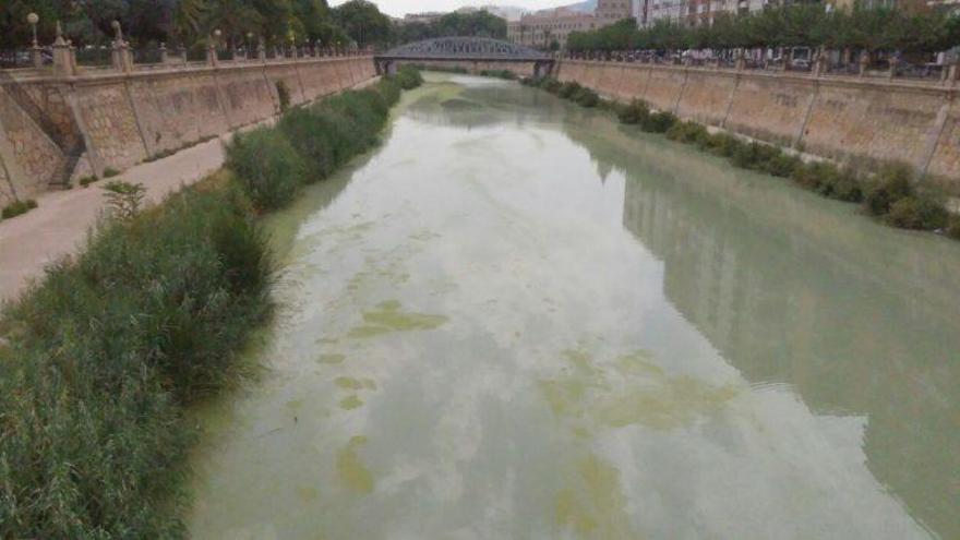 El río a su paso por Murcia