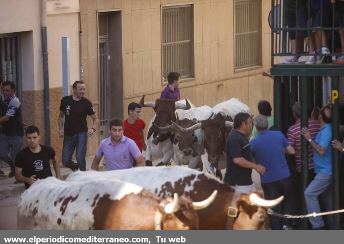 GALERÍA DE FOTOS -- Festejos en honor a Santa Quitèria