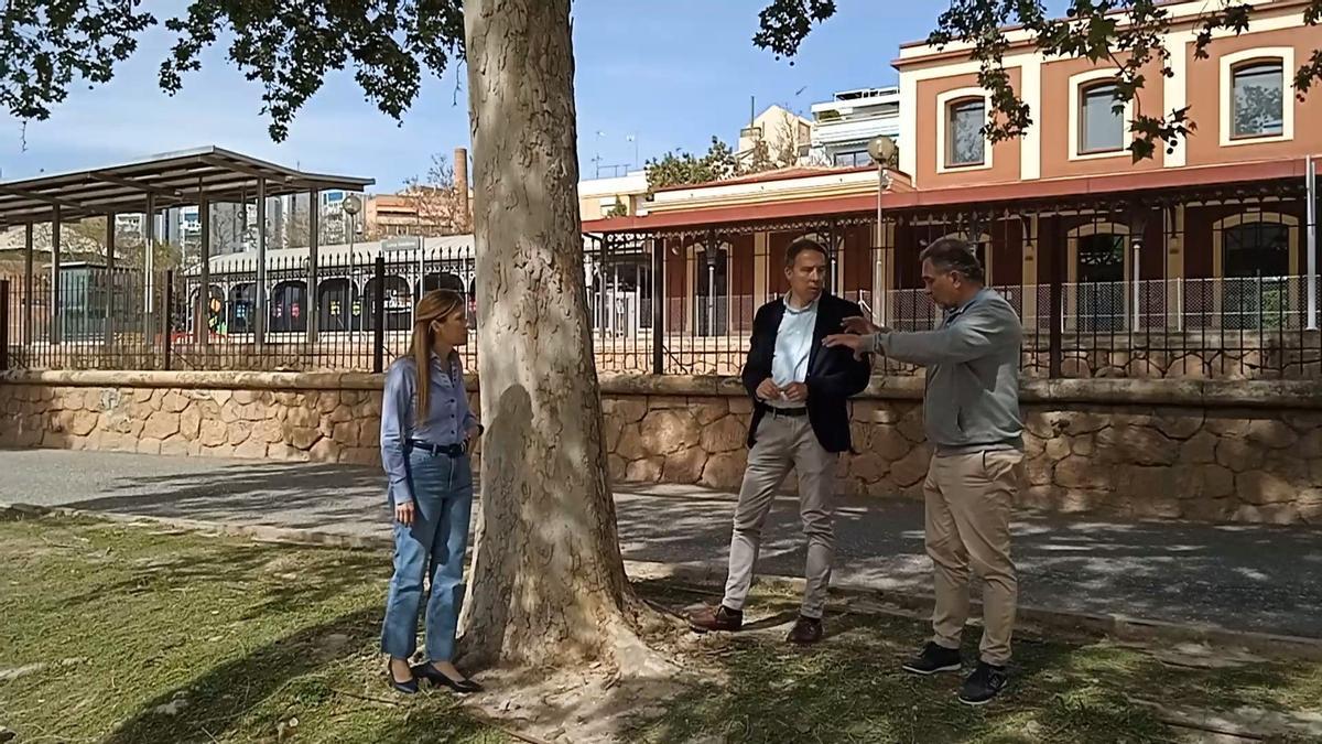 Rosa María Medina, Fulgencio Gil y Ángel Meca, junto a un ejemplar de falsa platanera a pocos metros de la antigua estación de Sutullena, este jueves.