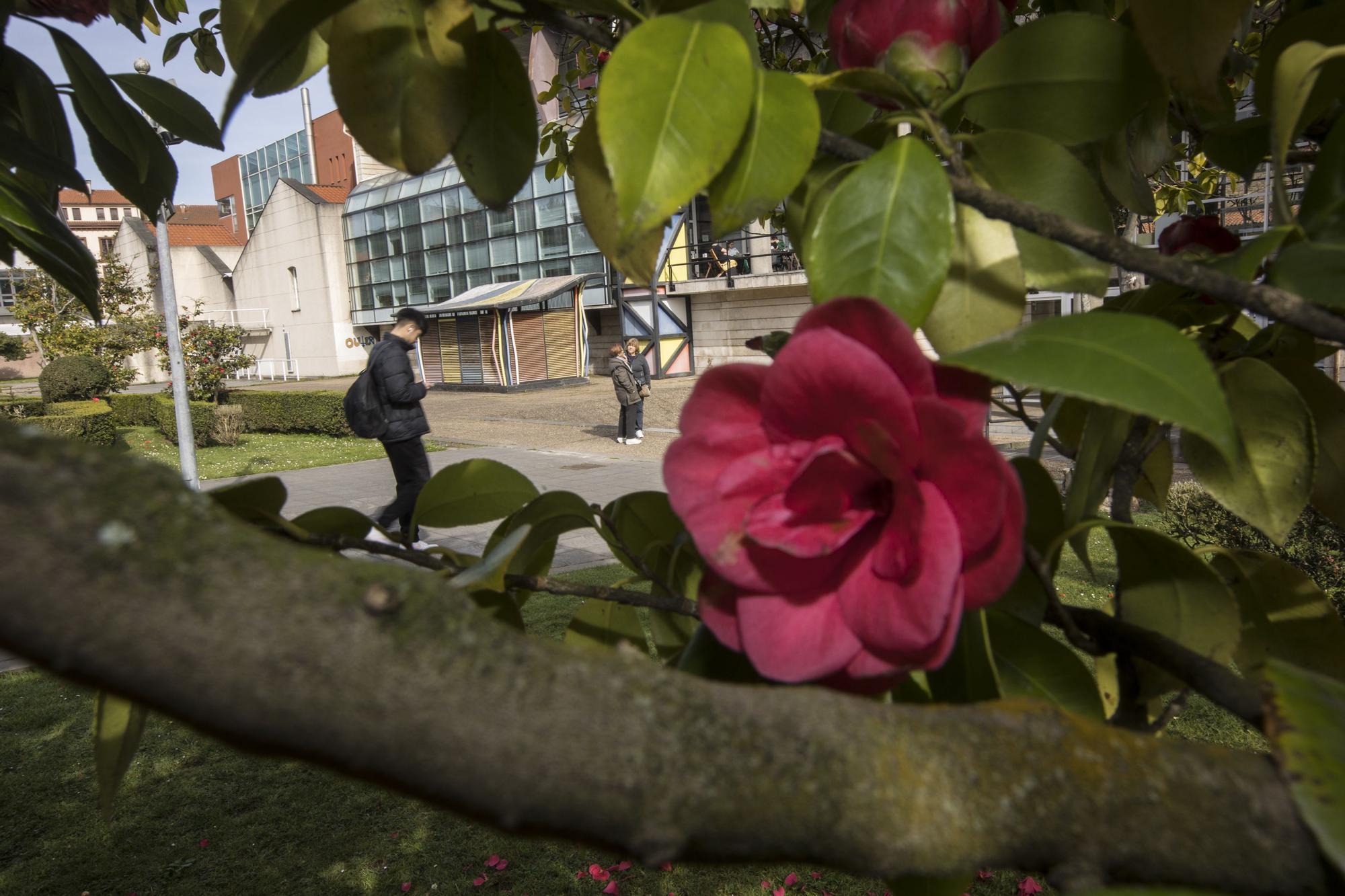 La primavera ya está llegando y así se deja notar en Avilés