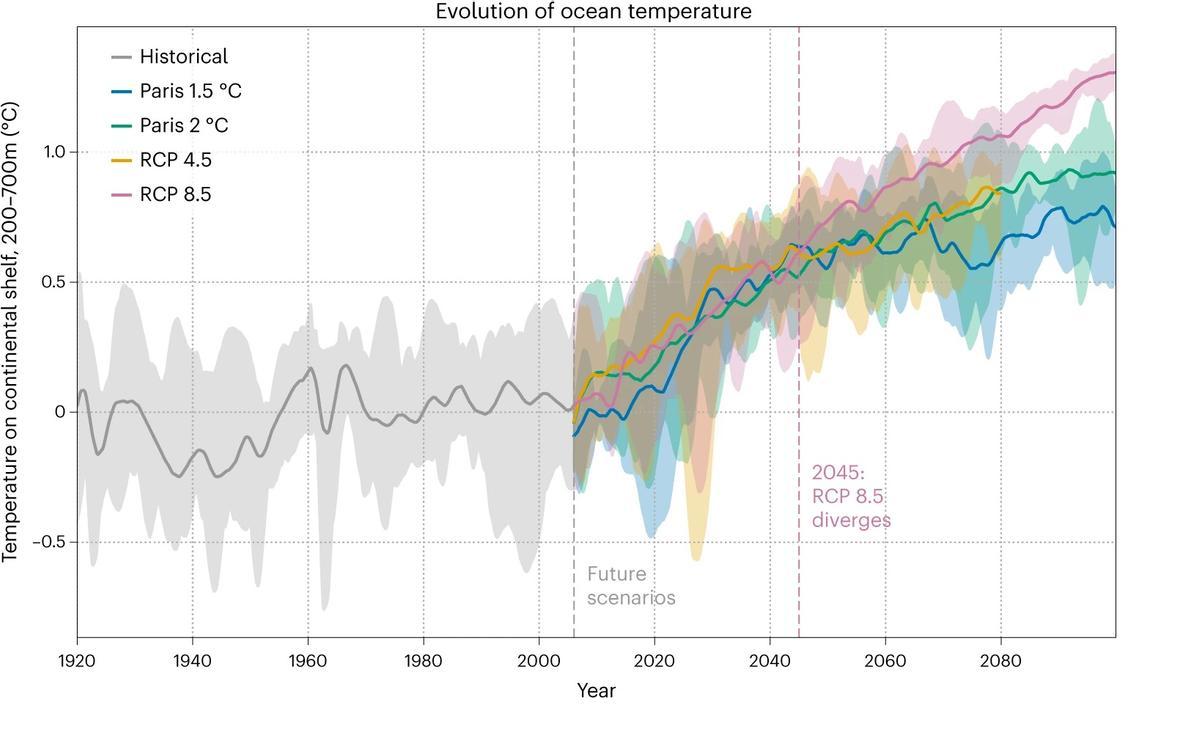 Evolución prevista del calentamiento oceánico, según cuatro escenarios