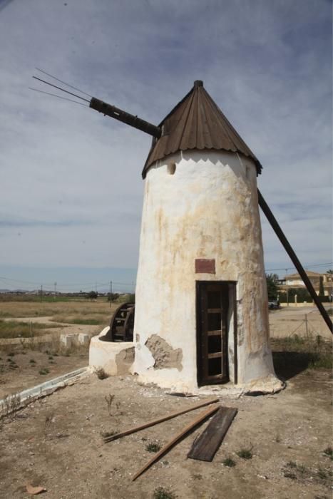 Molinos en Peligro de Extinción