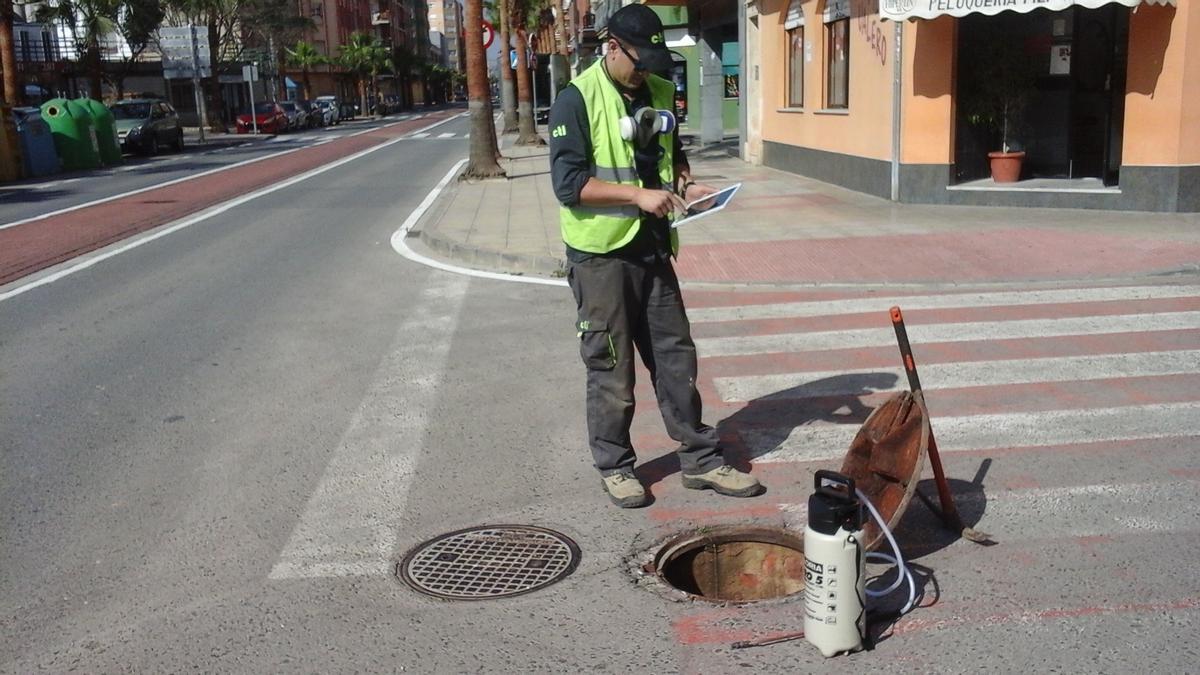 Un operario trabaja en la lucha contra las plagas.