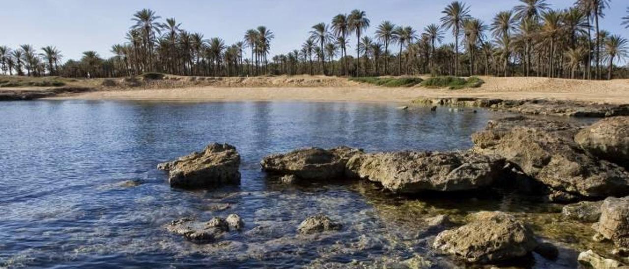 Imagen de la cala, dunas y palmeral de Ferrís. La mayor parte del paraje, propiedad privada, ha sido vallada con una licencia ahora en fase de revocación.