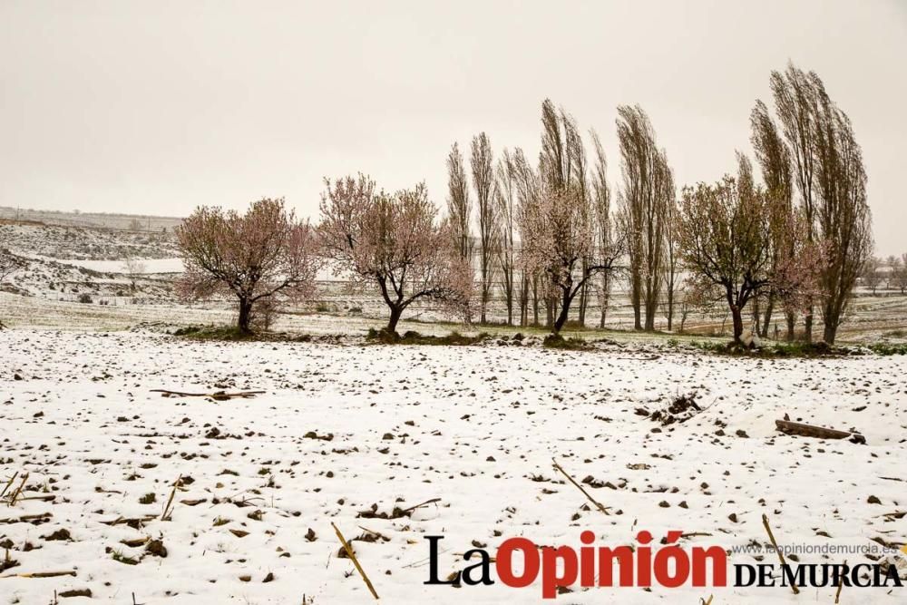 Nieve en las pedanías altas del Noroeste