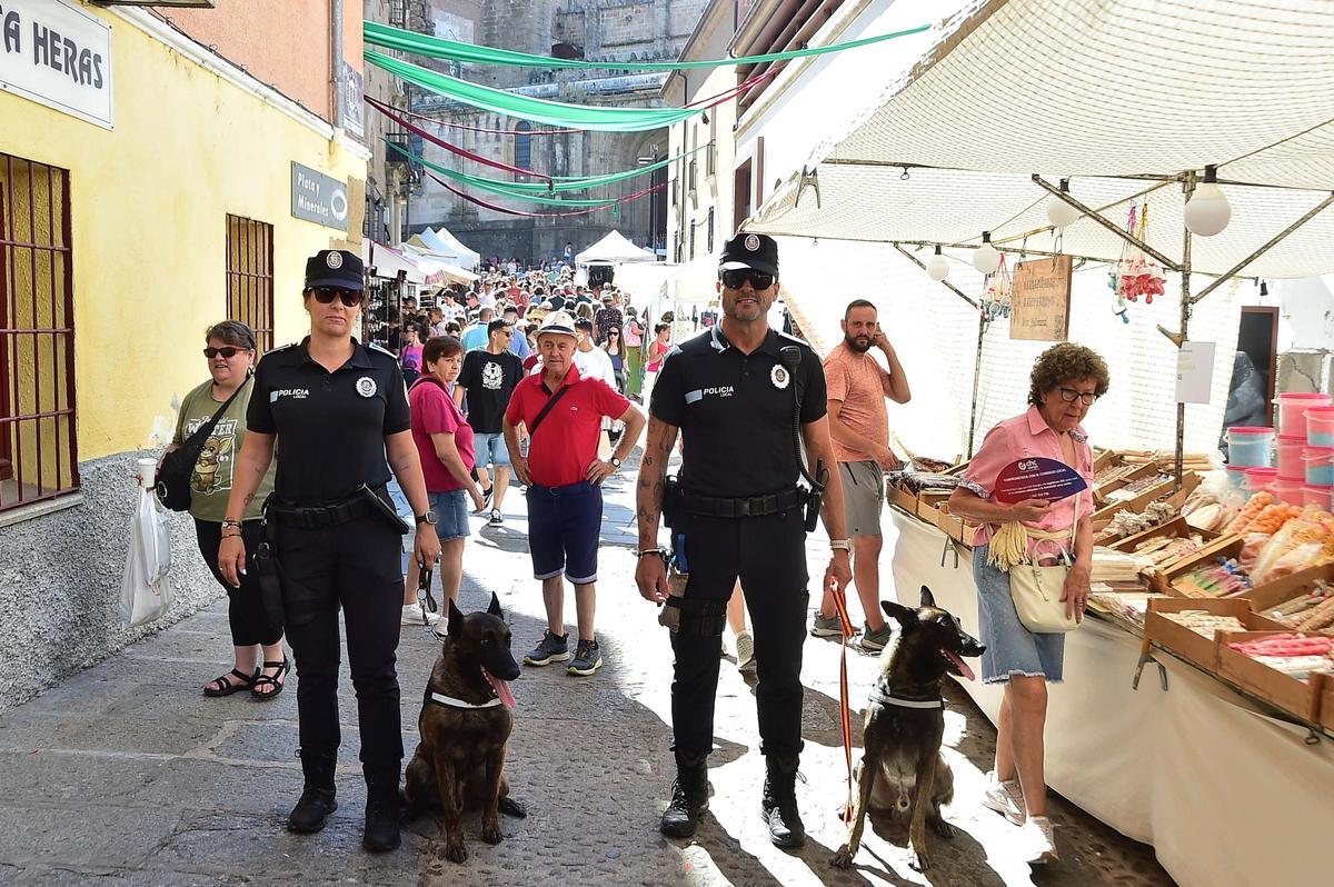 FOTOGALERÍA | El Lunes Menor y el Martes Mayor, en imágenes