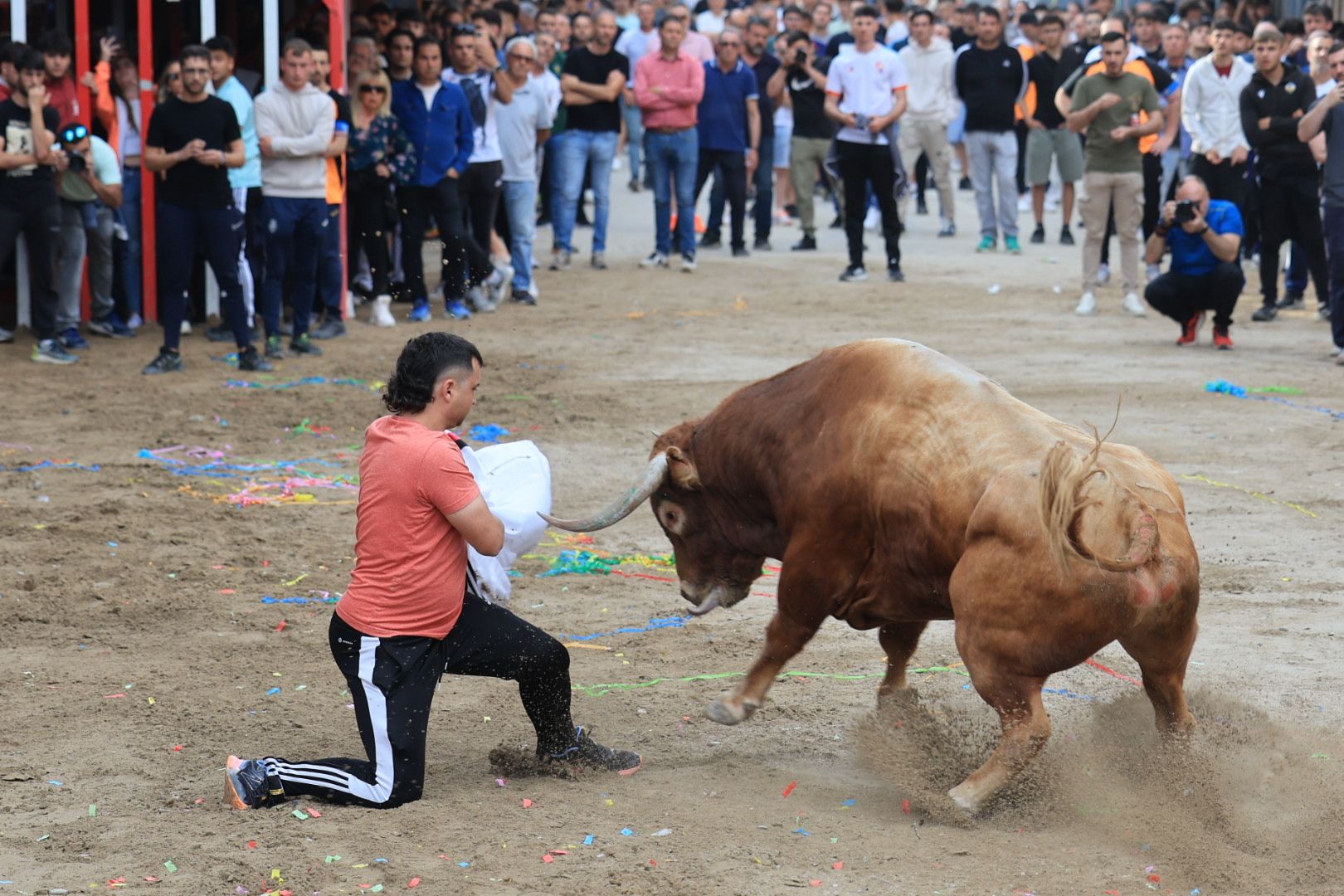 Fotos de la tarde taurina del jueves de las fiestas de Sant Pasqual en Vila-real