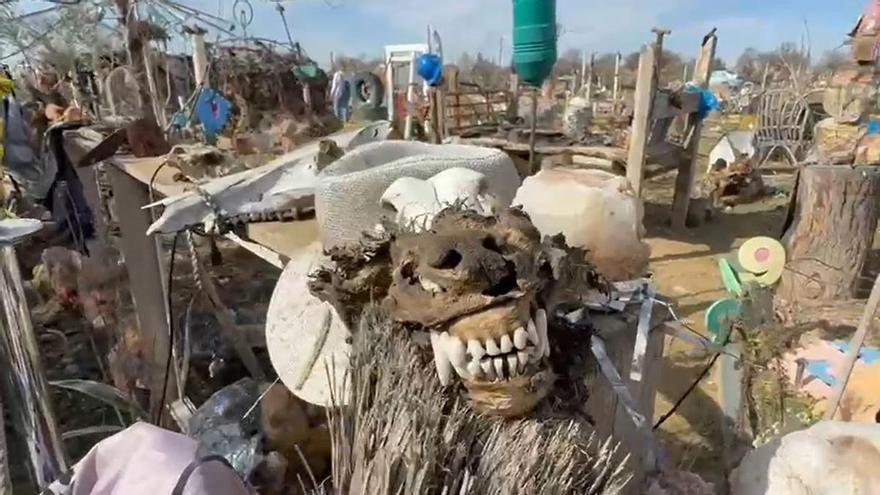 La finca del terror en Toledo: 17 perros rescatados, calaveras y lesiones rituales a los cachorros