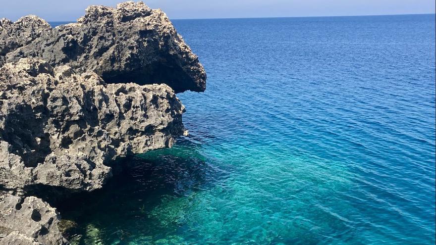 La imagen del increíble ser que habita las aguas de la Vega Baja