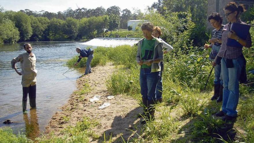 Una actividad del Colectivo Ecoloxista do Salnés en el río Umia, a su paso por Pontearnelas. // Iñaki Abella