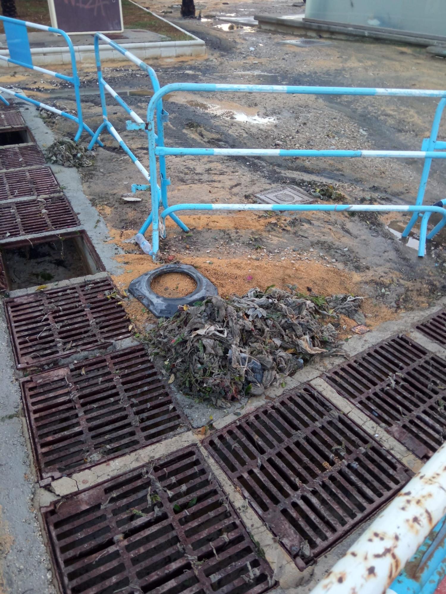 Ratas muertas, basura y restos fecales tras la tormenta en Alicante