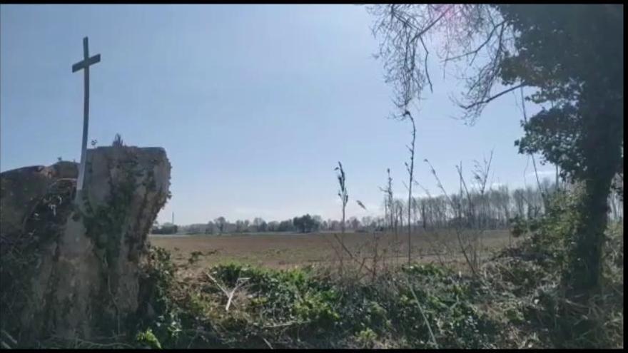 Creus a Peralada per lamentar la tala d’arbres a la carretera vella