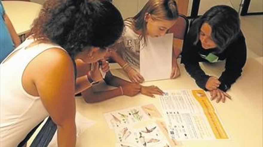 Almassora instruye a 200 niños sobre aves