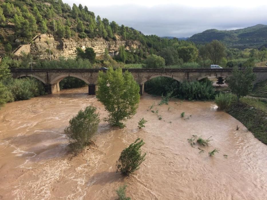 Fotos del riu Cardener a Castellbell