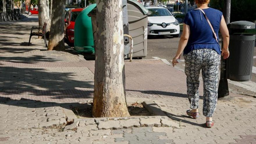 Seis zamoranos han sido indemnizados por el Ayuntamiento por caídas en las aceras