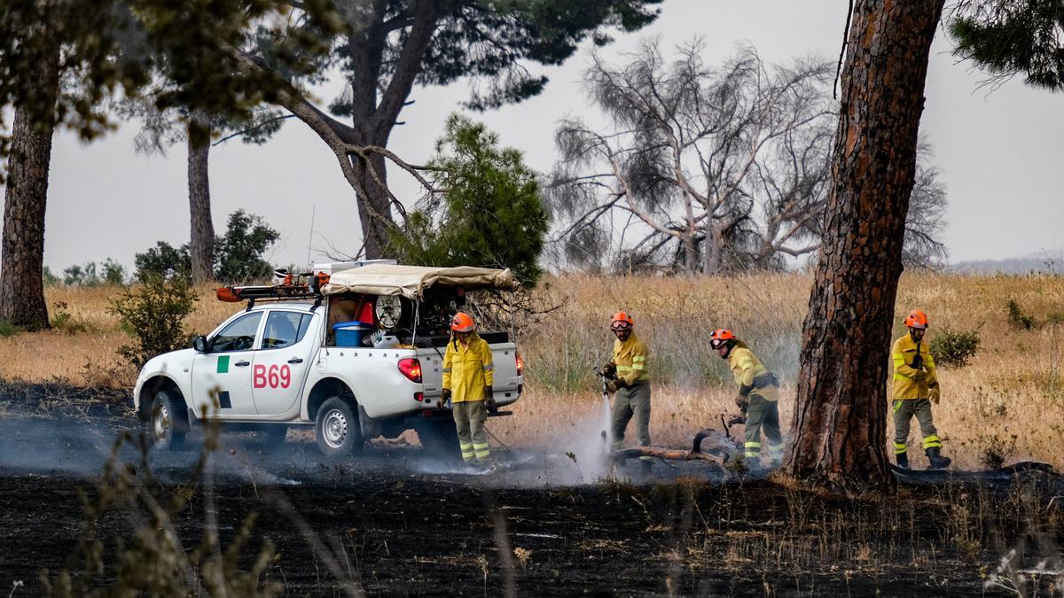 Efectivos trabajan sobre el terreno.